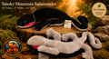 Red-Cheeked Salamander